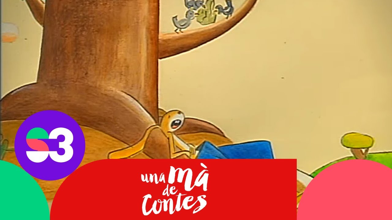 La gran cursa - Una mà de contes