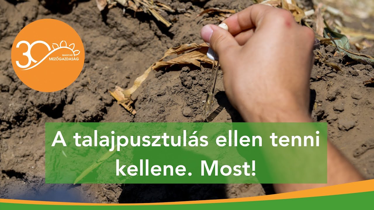 MMG - Talajpusztulás - A probléma már szemmel látható