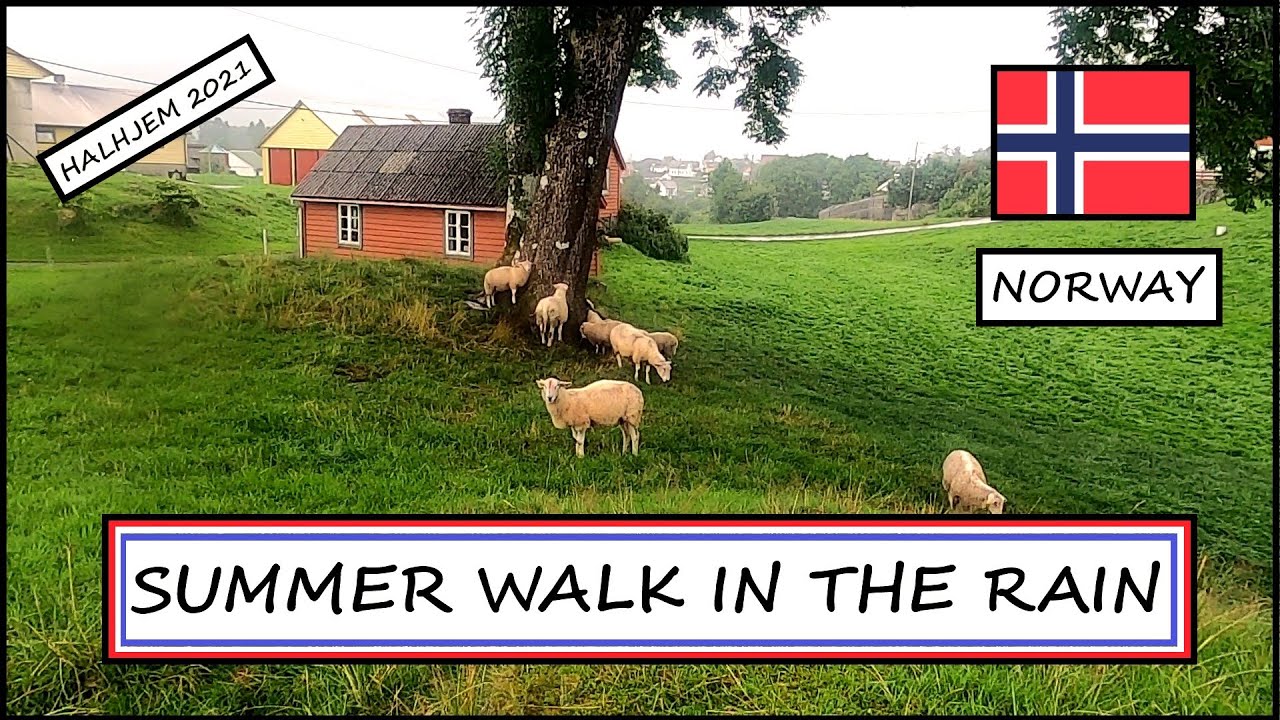 COUNTRYSIDE WALK IN HEAVY RAIN - NORWAY nature views