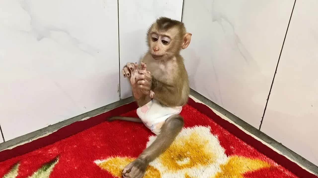 Genius DAM Cleaning His Tose Nail While Waiting Mom In Room