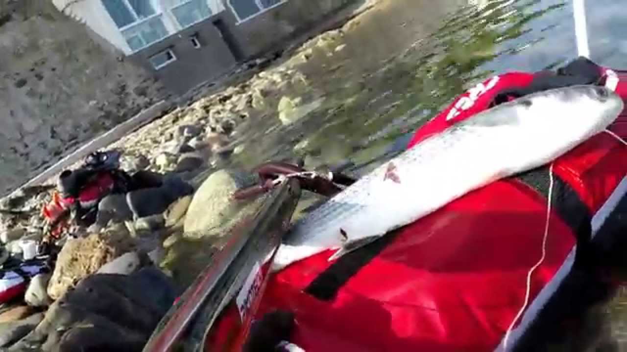 Pescasub: 6 muggini in 2 giorni