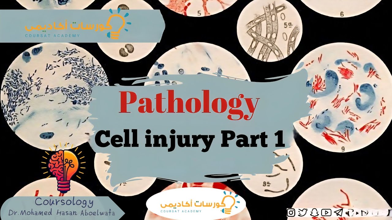 Cell injury part1 (From L2)
