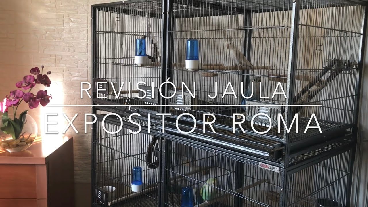 Mi Opinión sobre la Jaula Expositor ROMA de STRONGCAGES