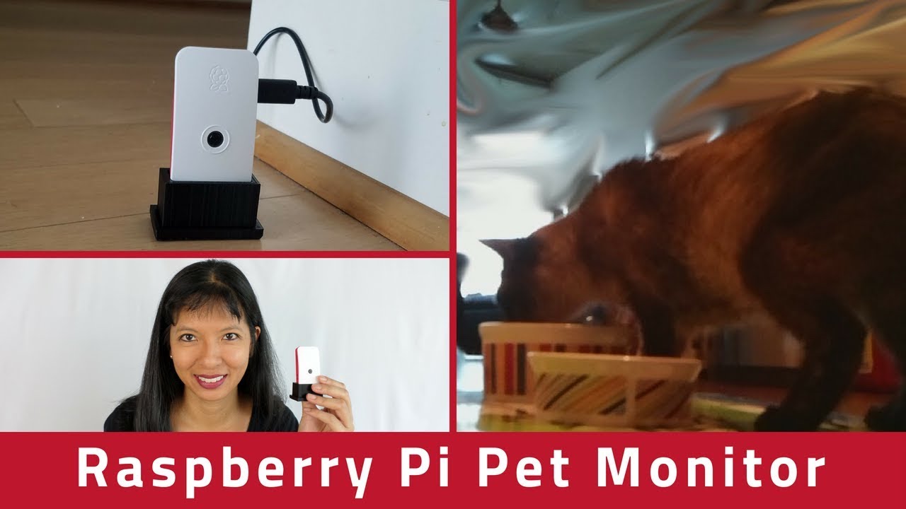 Motion Triggered Pet Monitoring System with Raspberry Pi Zero W