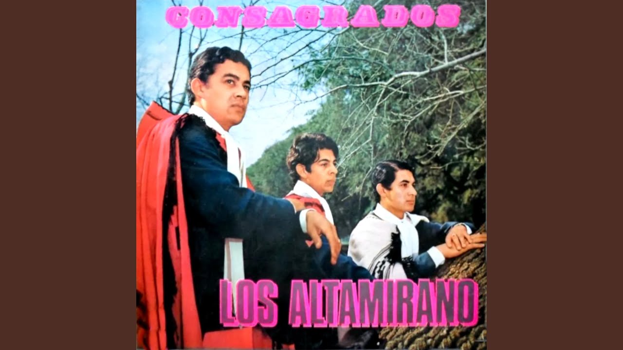 Zamba Gris