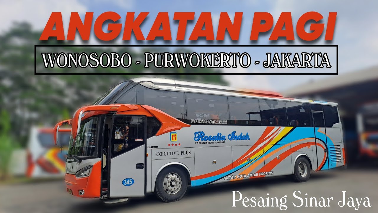TRIP ANGKATAN PAGI ROSALIA INDAH‼️ WONOSOBO - PURWOKERTO - JAKARTA, PESAING SINAR JAYA
