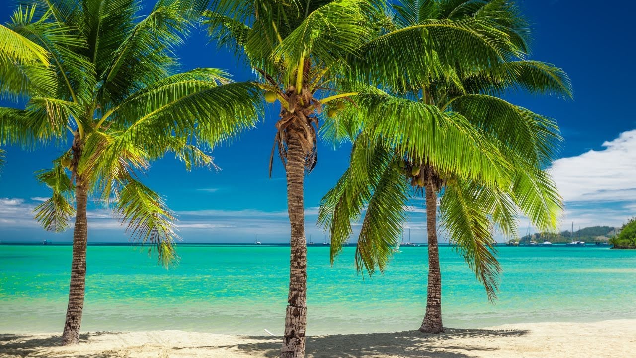 Paradise Beaches & Tropical Islands | Chill Music for Deep Relaxation
