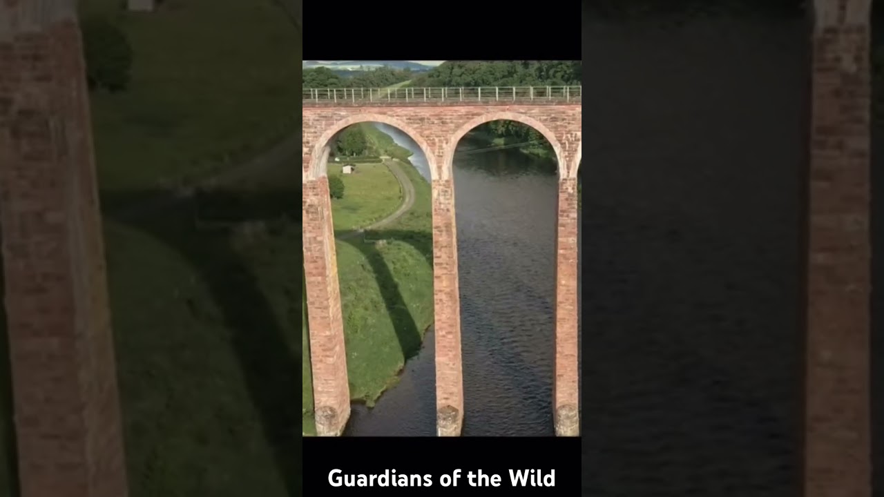 Please watch my movie Guardians of the Wild.. help raise awareness of the plight of Atlantic Salmon