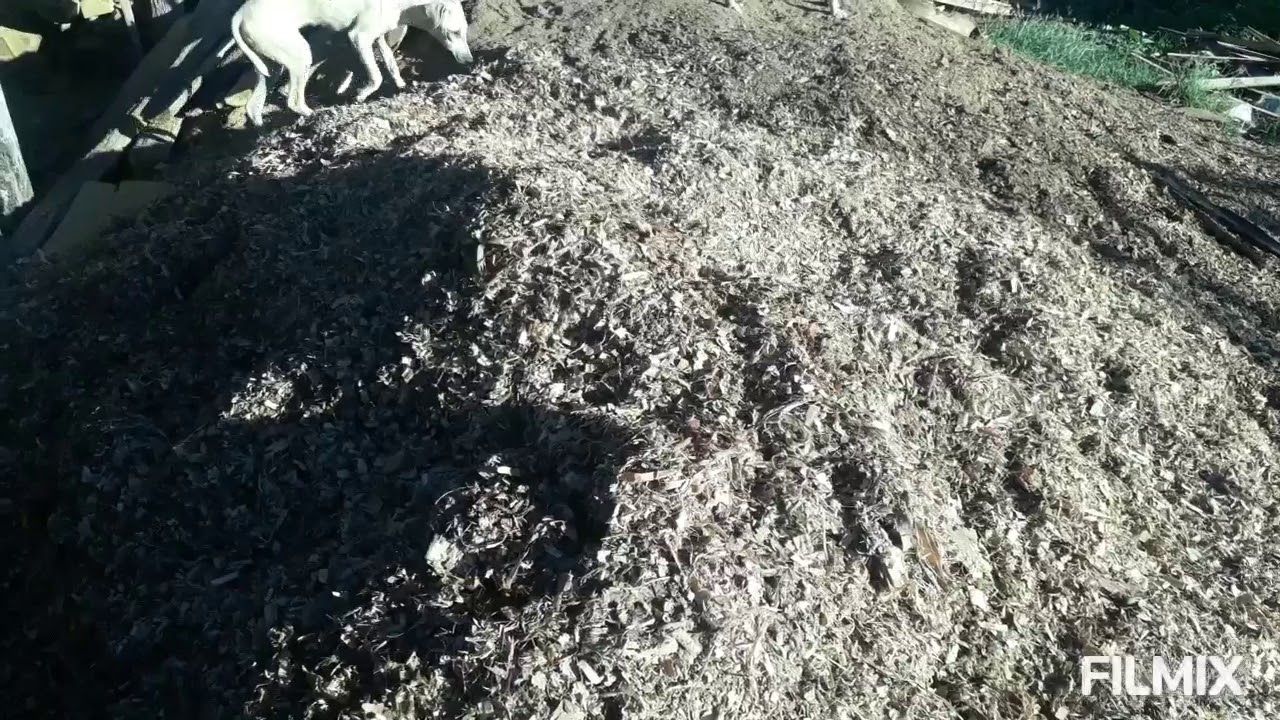 PÓ DE SERRA/SERRAGEM - ADUBAÇÃO ORGÂNICA