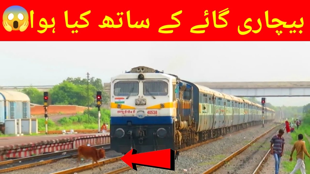 Indian train hit by cow | Train accident| Train Tracks