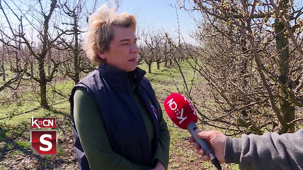 Stanje u voćnjacima