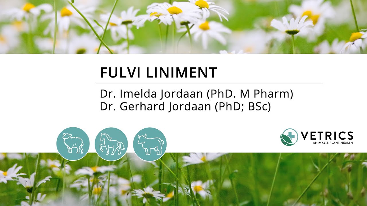 Dieregesondheid: Liniment - 1 Minuut (Afrikaans)
