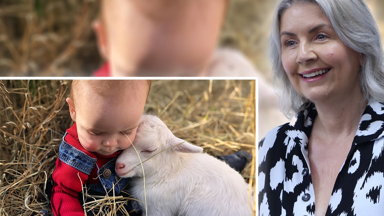 BRITS Reacts to Little Friends Have Melting Moments With Animals