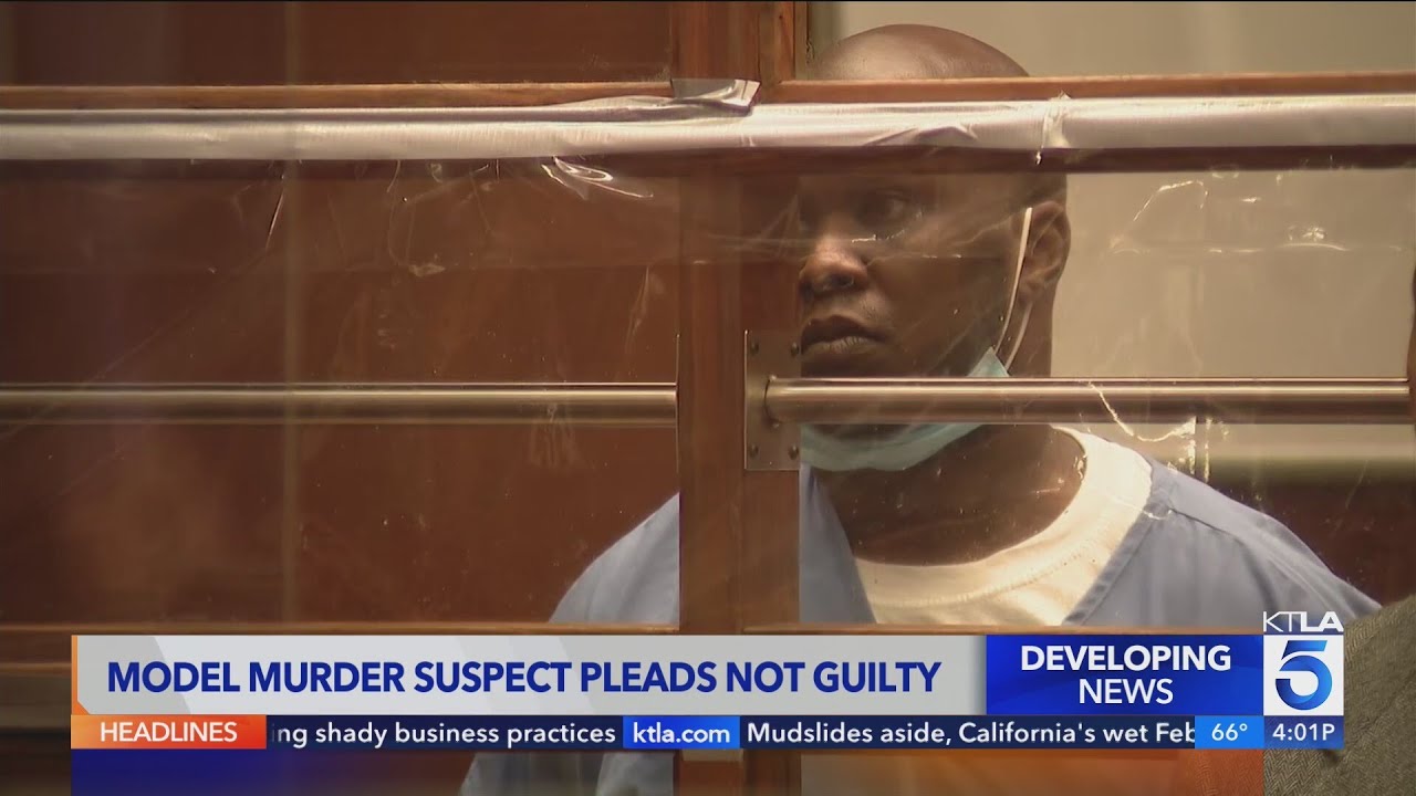 Man charged in L.A. model's torture, death makes first court appearance