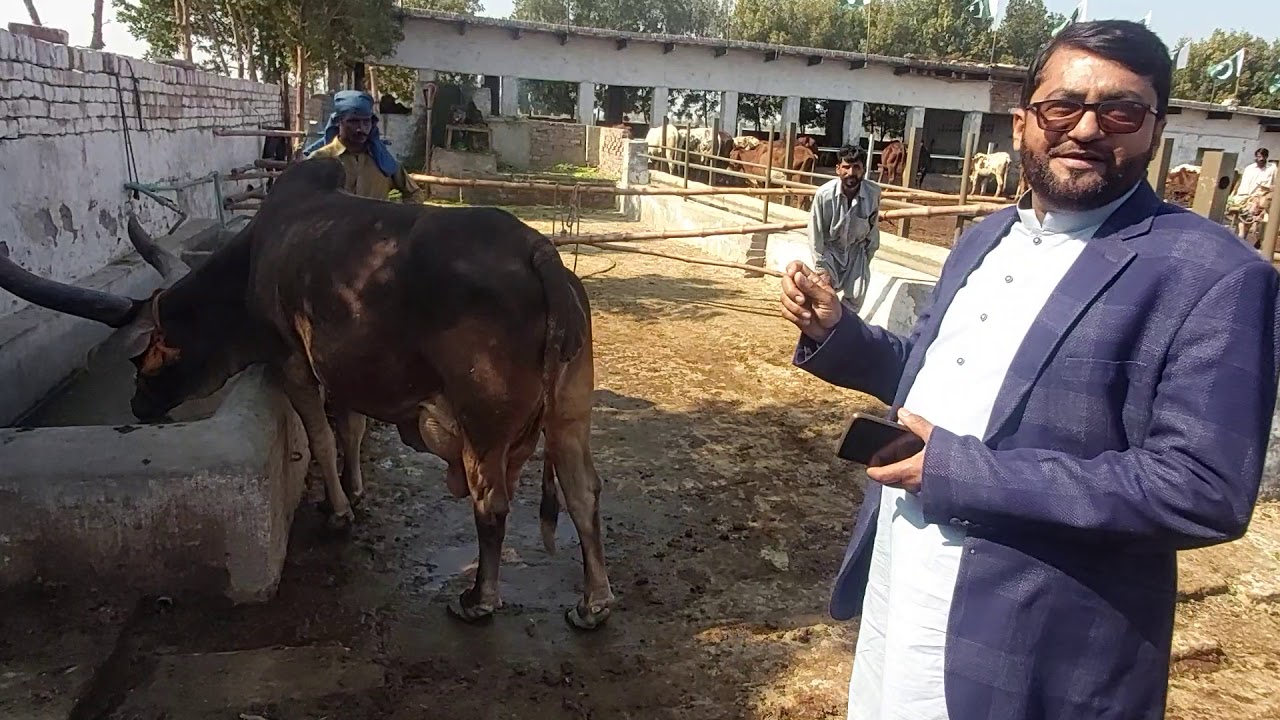 نیو فارمنگ کے لیے طریقہ کار آور معلومات حصہ دوم