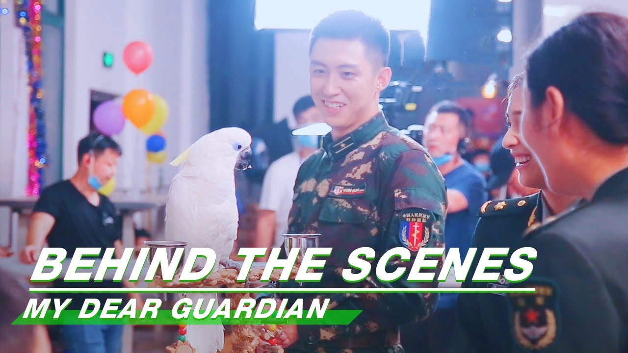 BTS: Johnny Huang & Sweet Li's New &ldquo;Pet&rdquo; | My Dear Guardian | 爱上特种兵 |  iQIYI