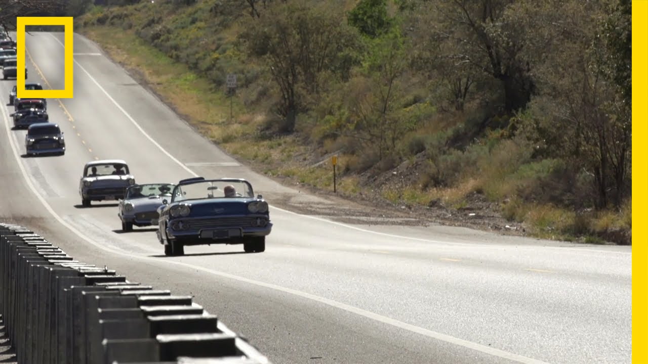 Musical Highway | Crowd Control
