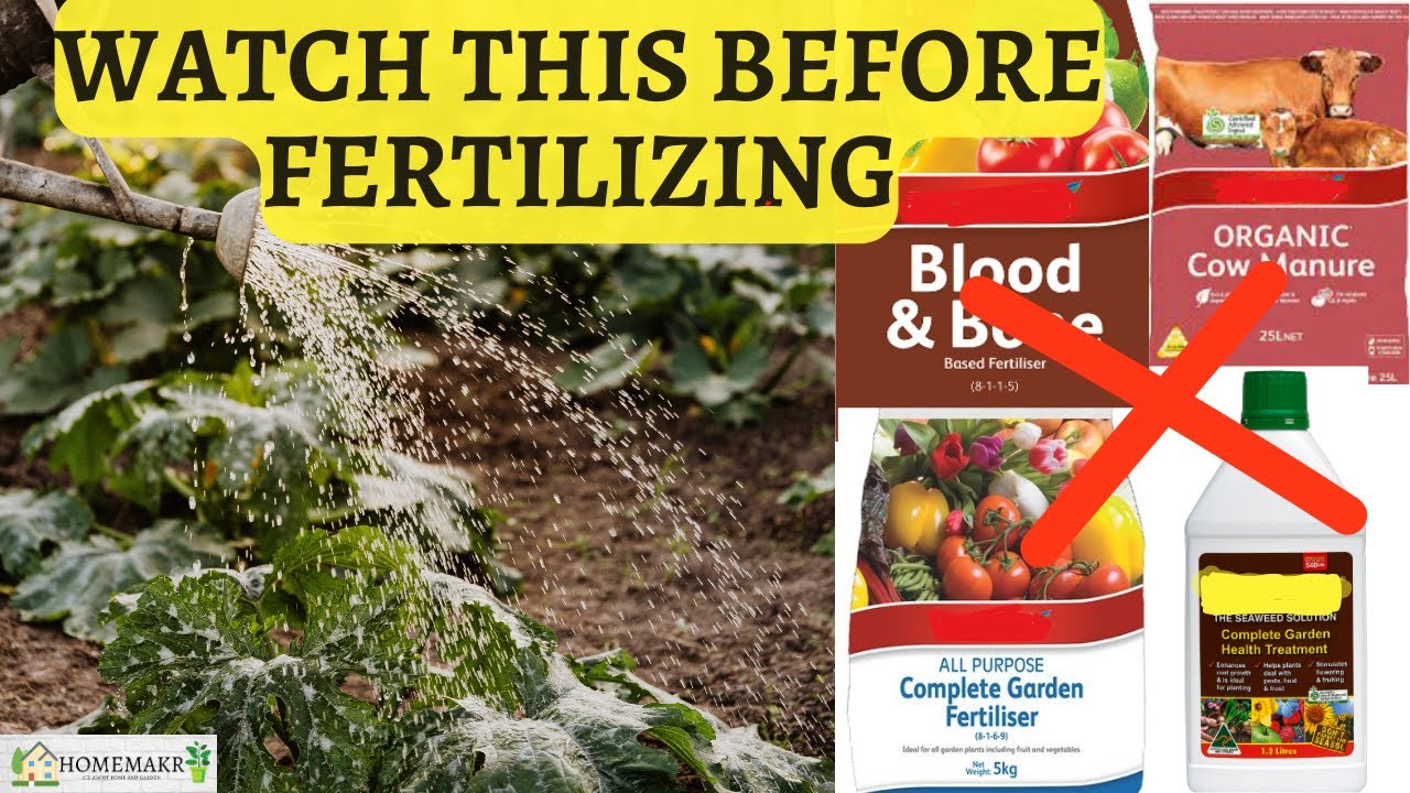 Do I need to Fertilize plants? #fertilizer #fertilizerforplants