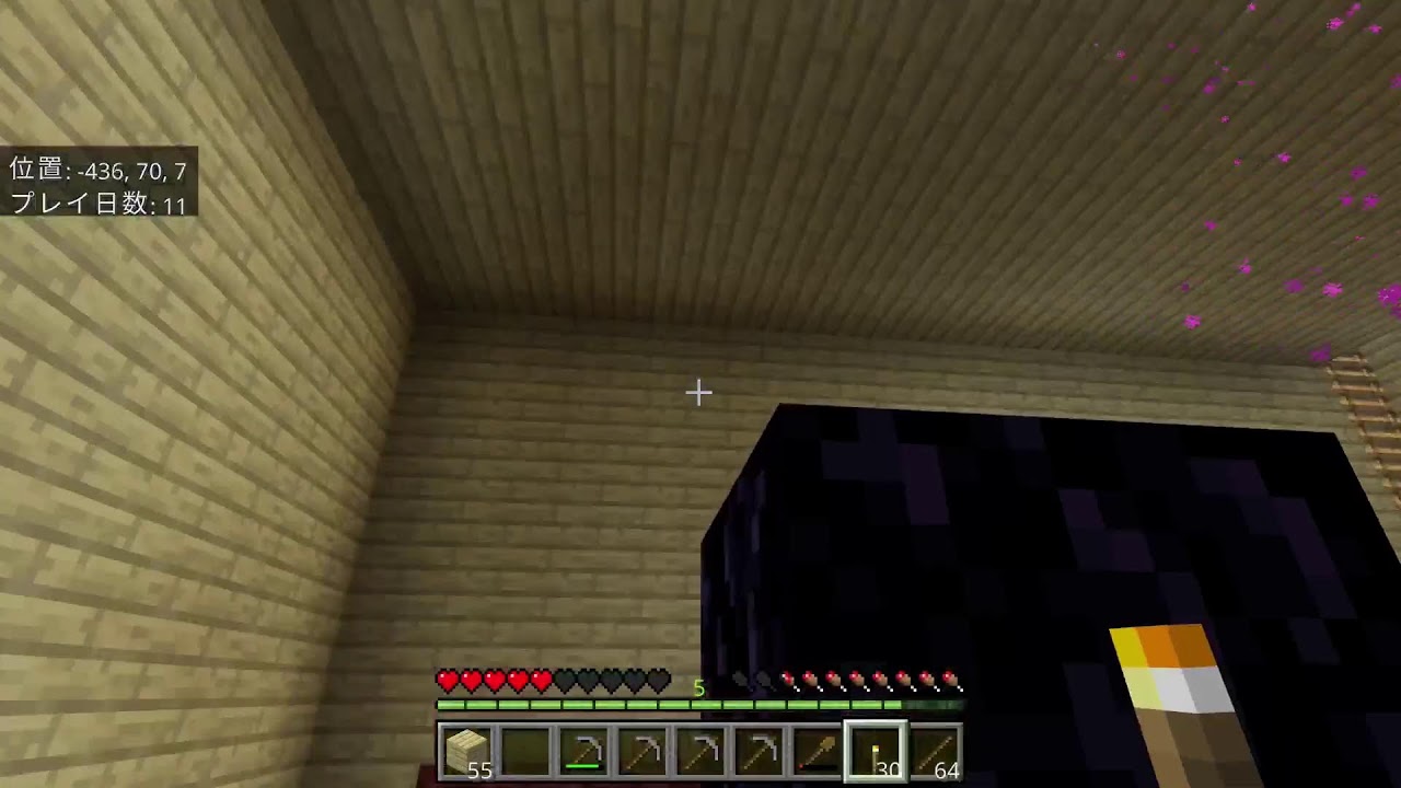 マイクラを遊ぶ