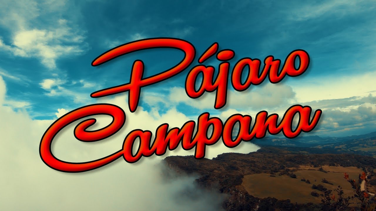 Discos El Dorado - Cuerdas Colombianas - Pajaro Campana