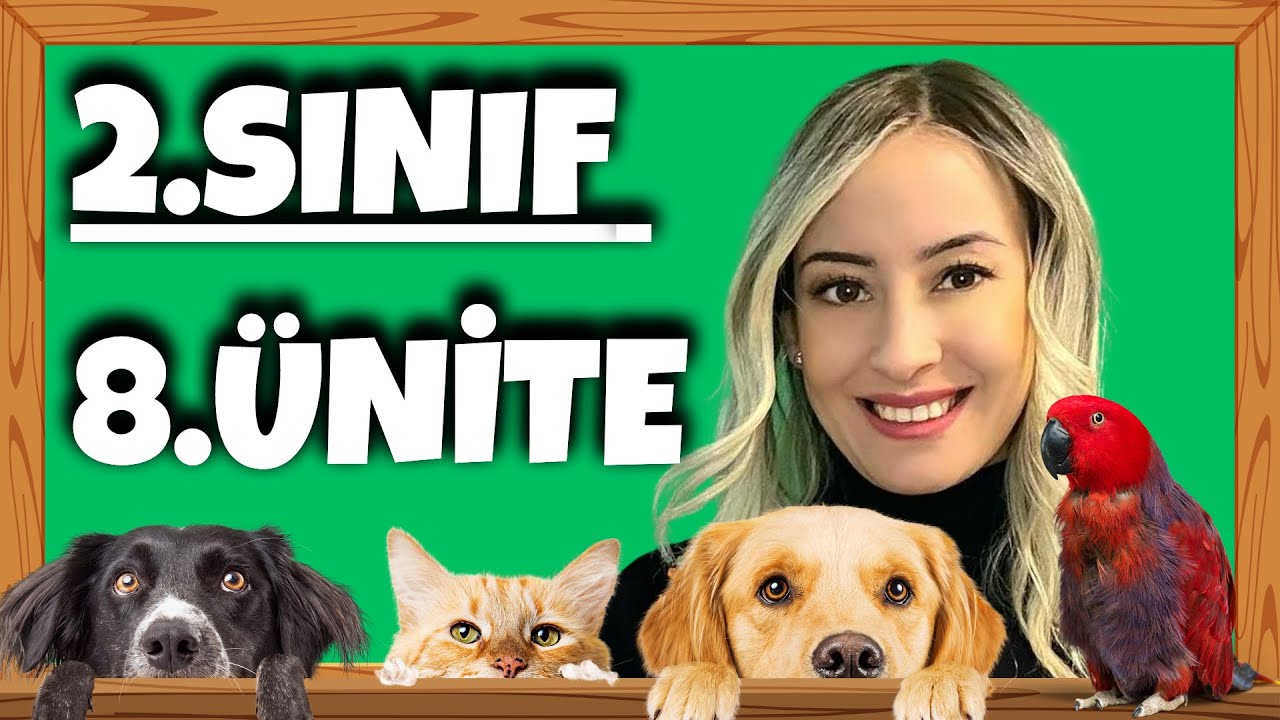 2. Sınıf İngilizce 8. Ünite | Pets | İngilizce Hayvanlar | #2023