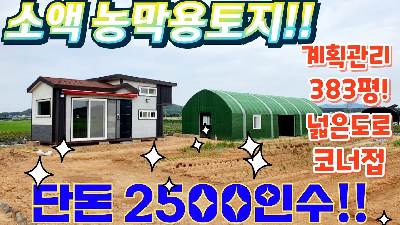 급싼~2차선인근.농막.체류형쉼터.계획관리지역.383평.단돈2500인수전원카페.한방찻집.시골집.농가주택.맛집.급매물임장.010-2582-8959
