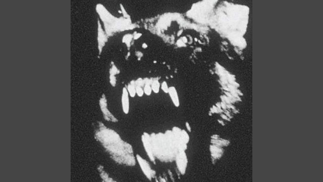 bite down