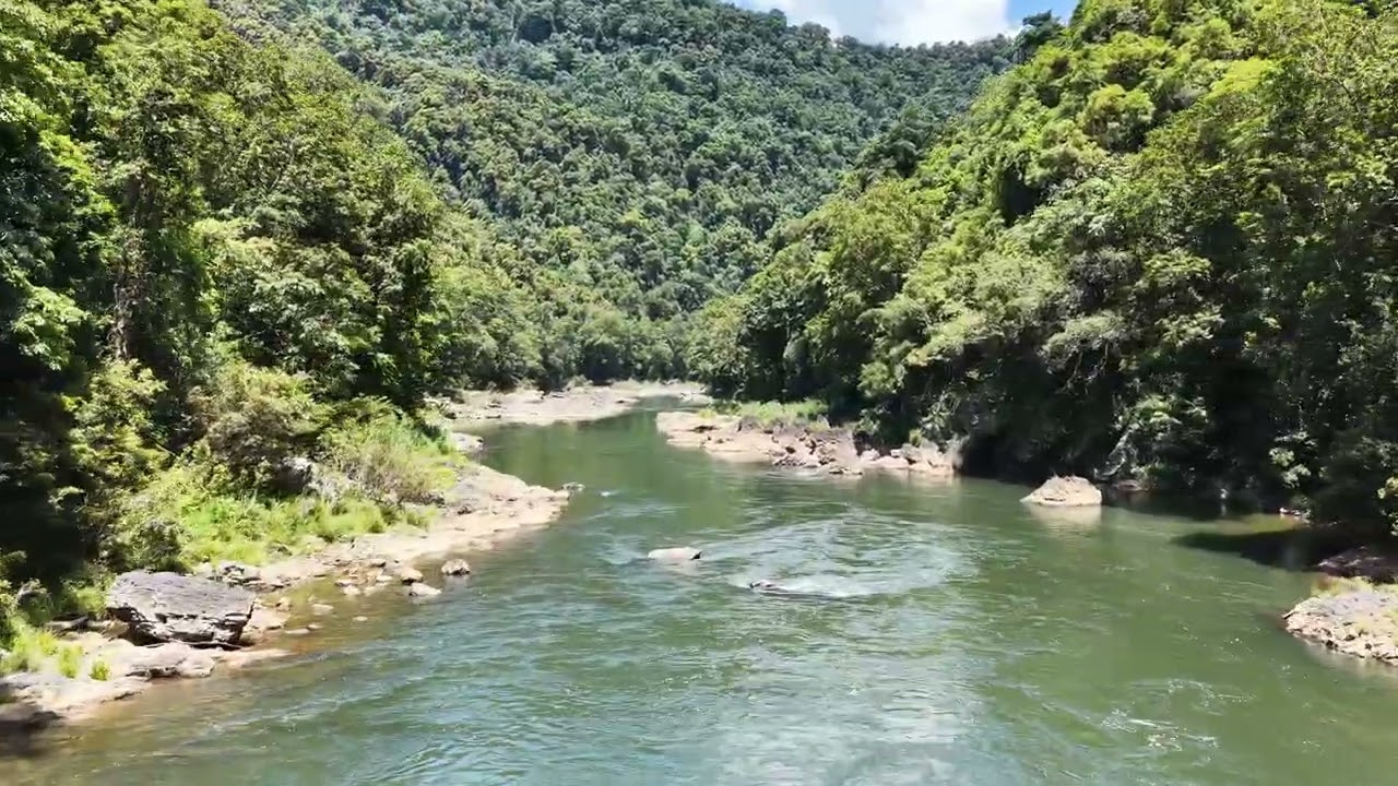 Palmerston Johnstone river FNQ