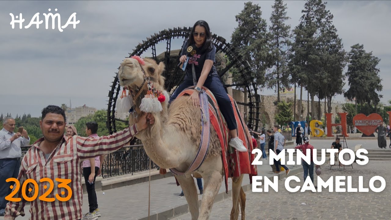 SIRIA - 2 minutos en camello y conoce la ciudad de Afamia 5/5