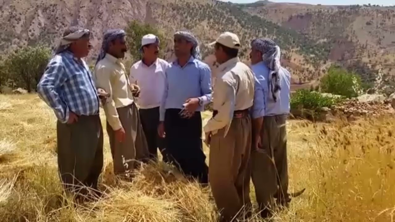 Der K&acirc;n&icirc;yok&ecirc; Nefele - Şamiran&ecirc; || Paleti ya K&ucirc;rd&icirc;n&icirc;