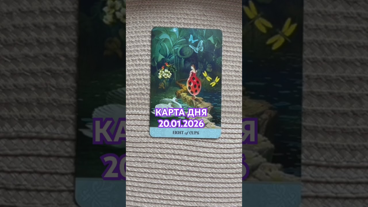🩷Карта дня 20.01.2026🩷