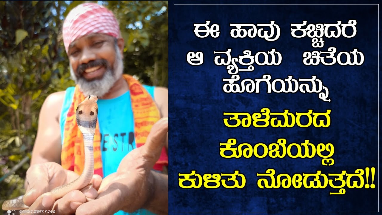 Facts about snake | ನಾಗಾರಹಾವಿಗೆ ಜೋಡಿ ಆಗುವುದು ಕೆರೆಹಾವು ಎನ್ನುವ ಪ್ರತಿತಿ ಇದೆ ಇದು....|  Dileep interview