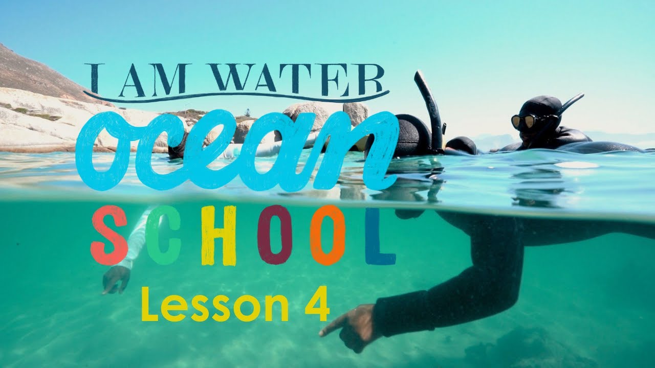 I AM WATER Ocean School Lesson 4 - Rocky Shores