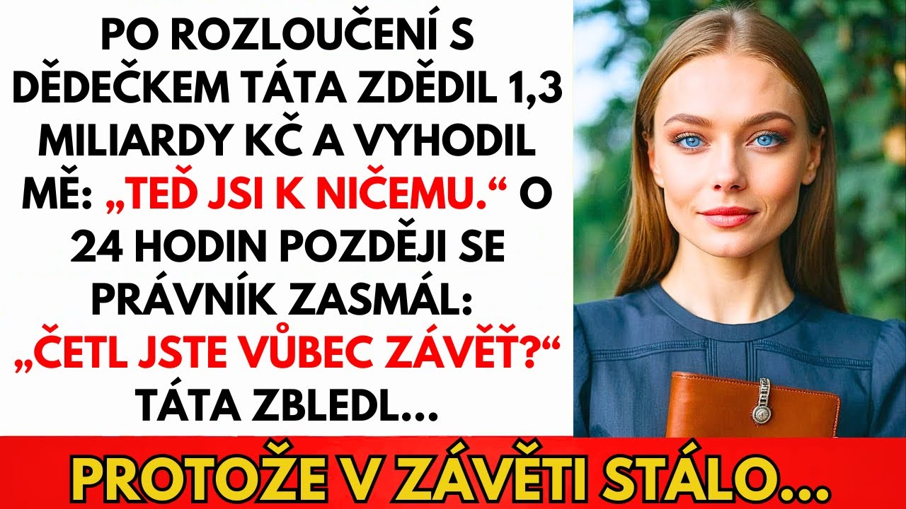 Táta Dostal 20 Mil. Kč A Vyhodil Mě. O 24 Hodin Později Prosil O Moji Pomoc