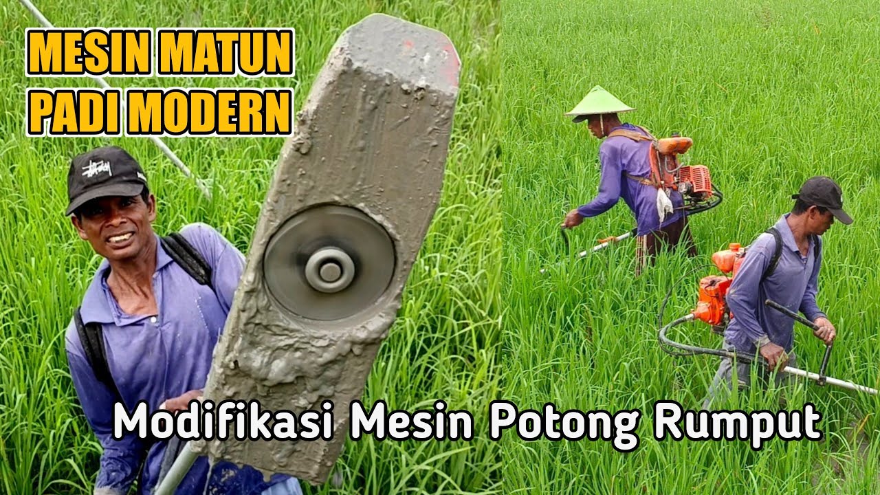 REVIEW MESIN UNTUK MATUN PADI MODERN MODIFIKASI MESIN POTONG RUMPUT