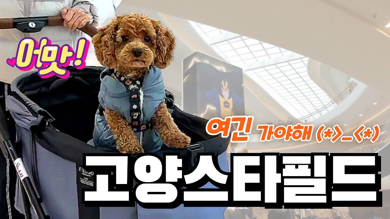 고양스타필드 강아지와 쇼핑나들이(애견동반가능)