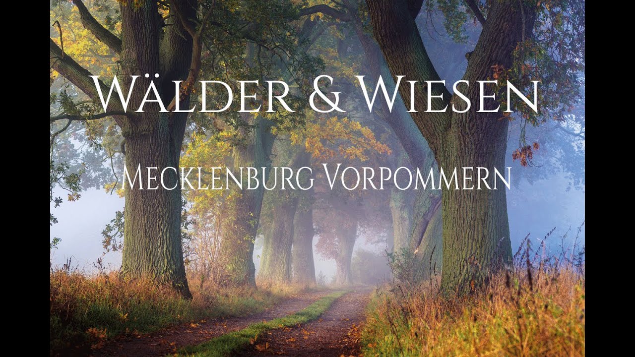 Wälder & Wiesen (Mecklenburg-Vorpommern)