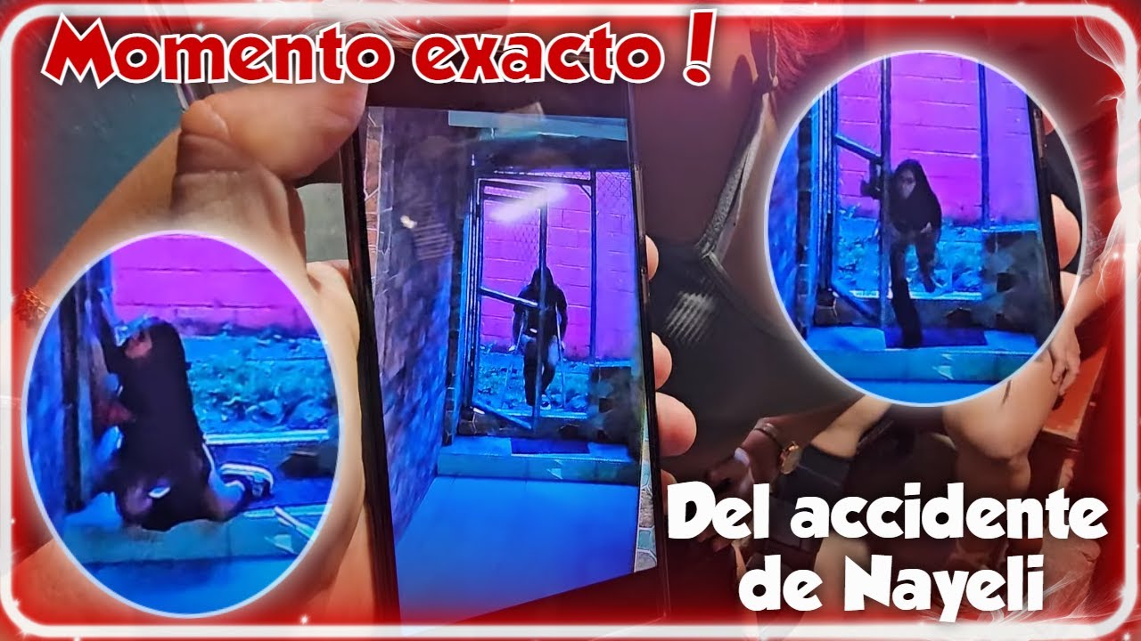Miren el accidente que sufrió Nayeli donde se lastimo su pie. Nayeli le da regalo a la Zarca