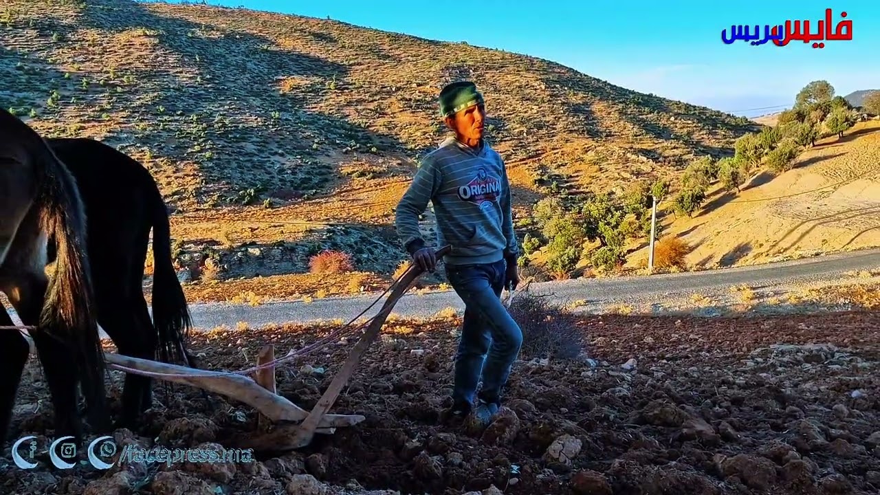 بأعالي الاطلس المتوسط وعلى علو 2240 متر على سطح البحر  حيث المحراث الخشبي لازال يشق الارض