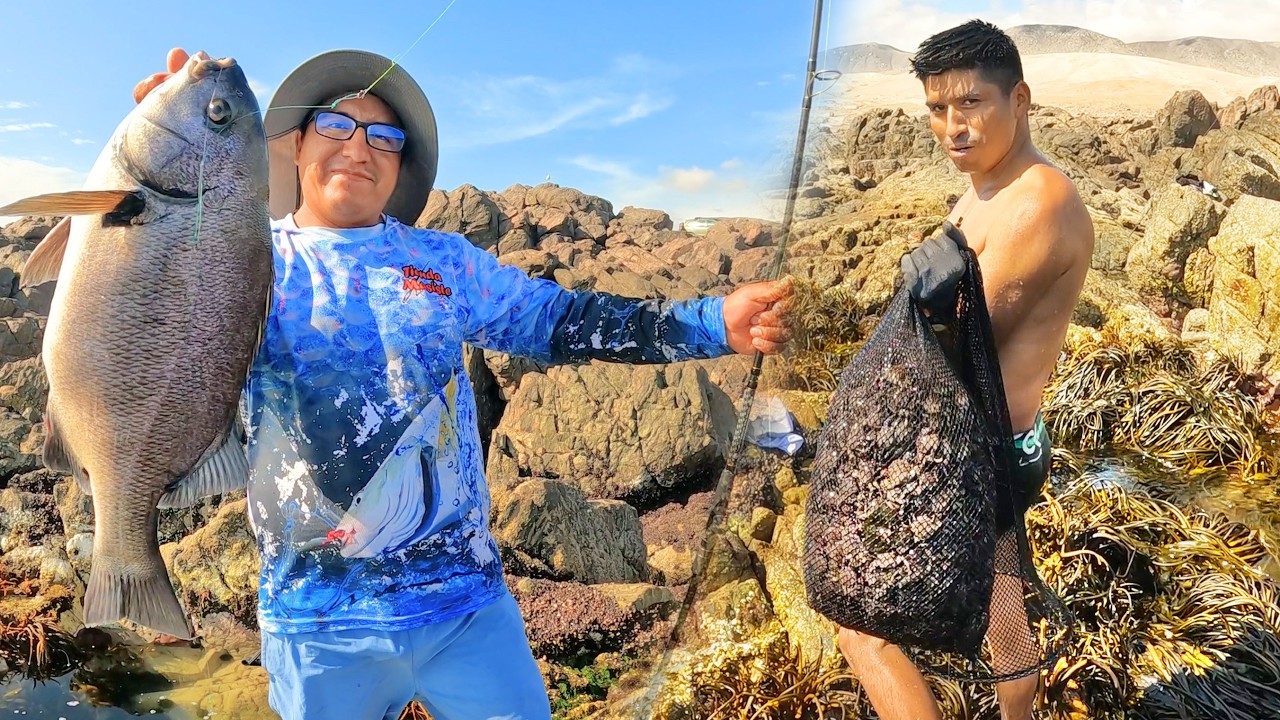 Una gran captura despues de buscar por varias playas