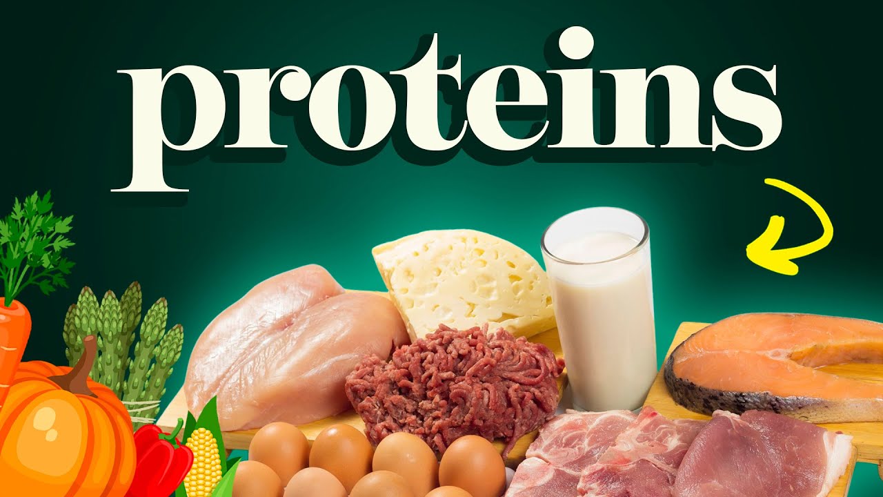 Do You Really Need All That PROTEIN? Explore the Truth with Dr McDougall
