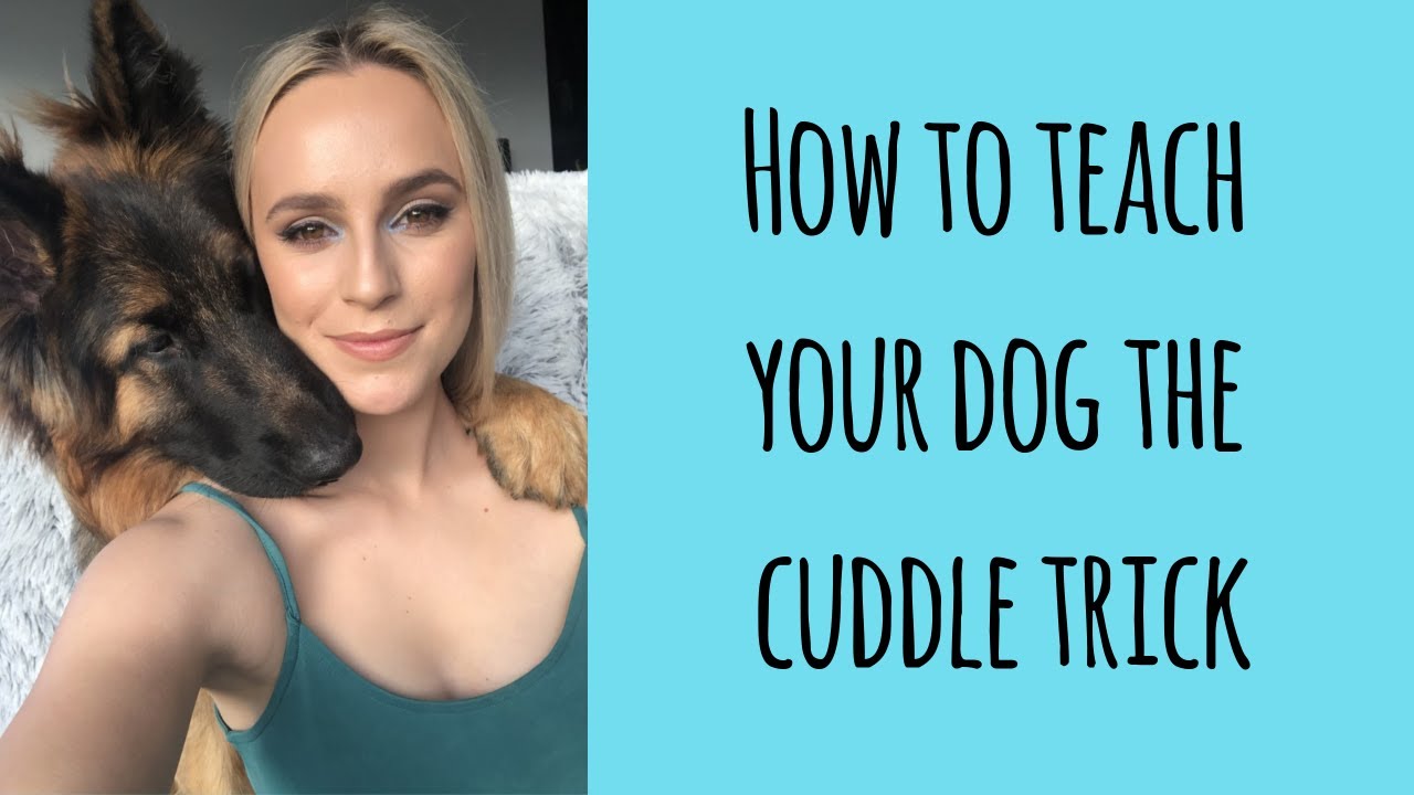 How to teach your dog the cuddle trick