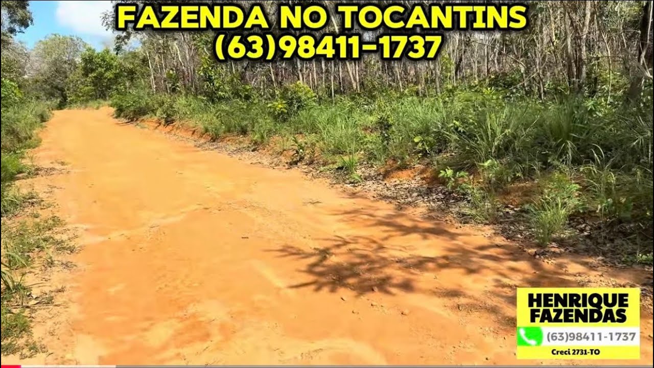 FAZENDA NO TOCANTINS 1.200 HECTARES (63)98411-1737