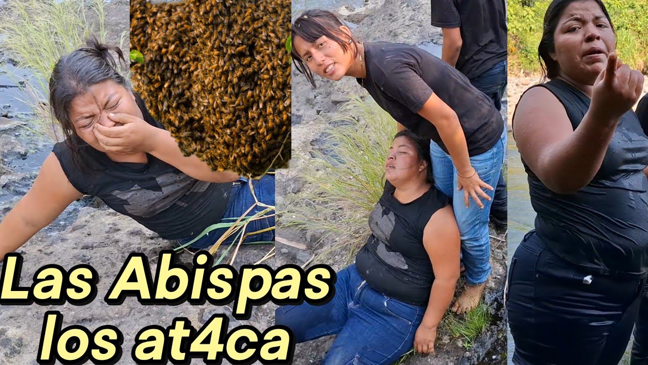 ‼️Urgente Rosi Se D3smaya de la Picadur4 de abeja😱Monton de Abeja Nos Persigue