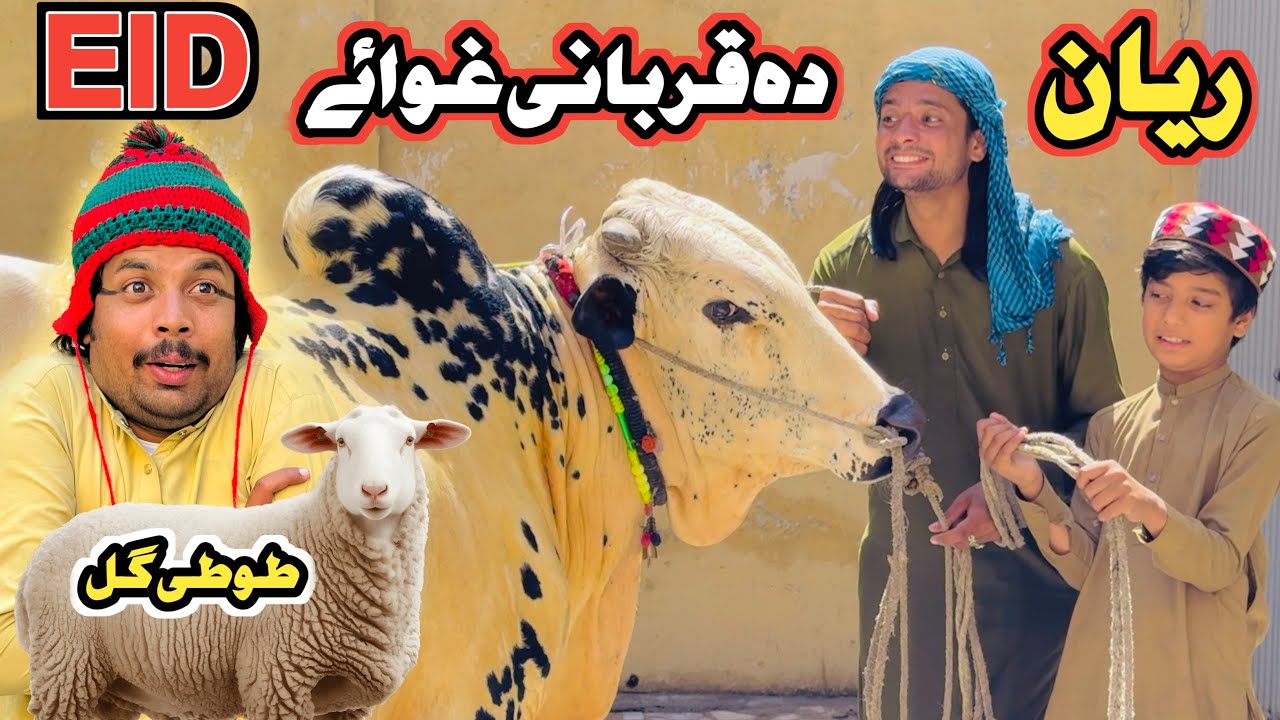 EID BAKRA TUTI GULL AO REYAN New Funny Video 2026 by MH Villeage Vlog