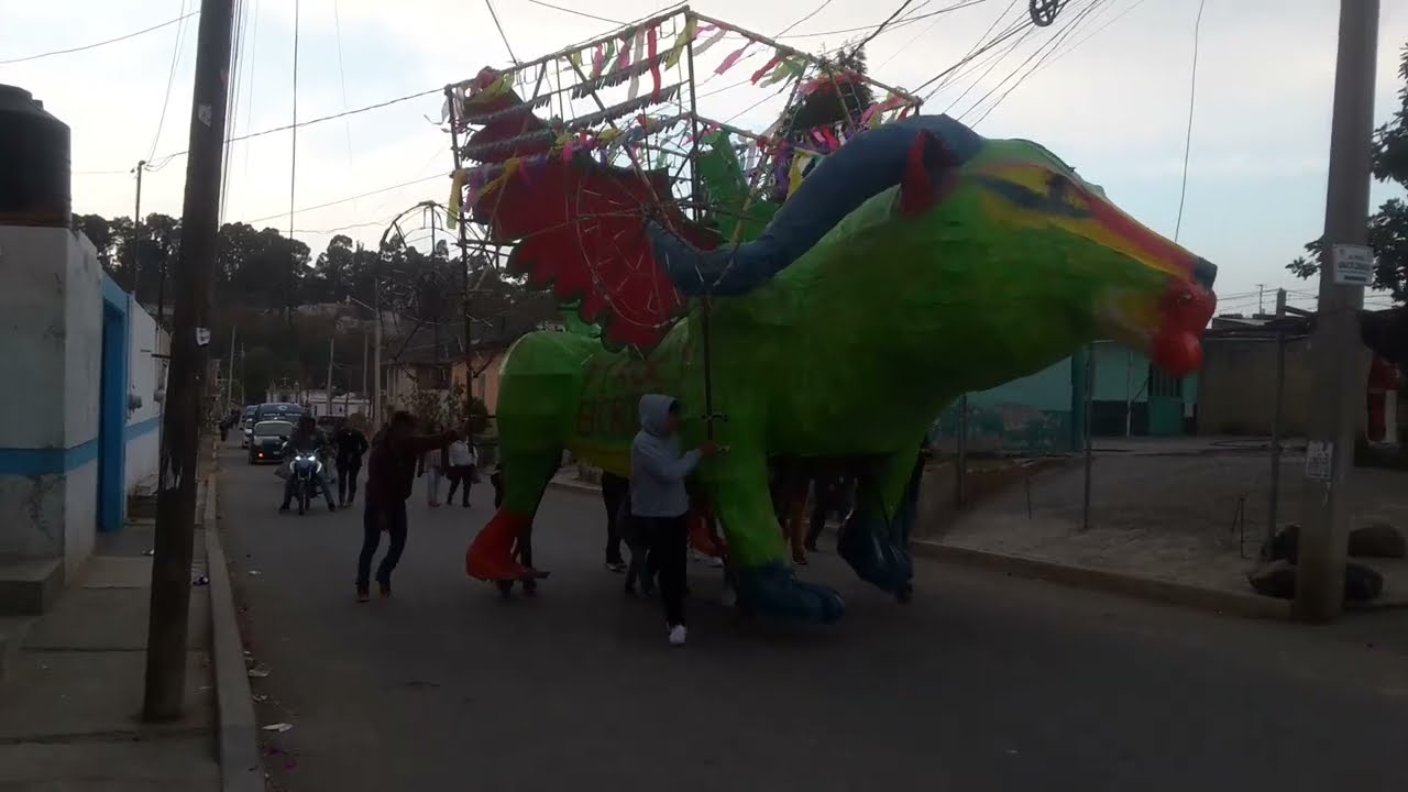 El tradicional Desfile de Toros en Tepontla “San Antonio de Abad” Patrón de los Pirotécnicos...