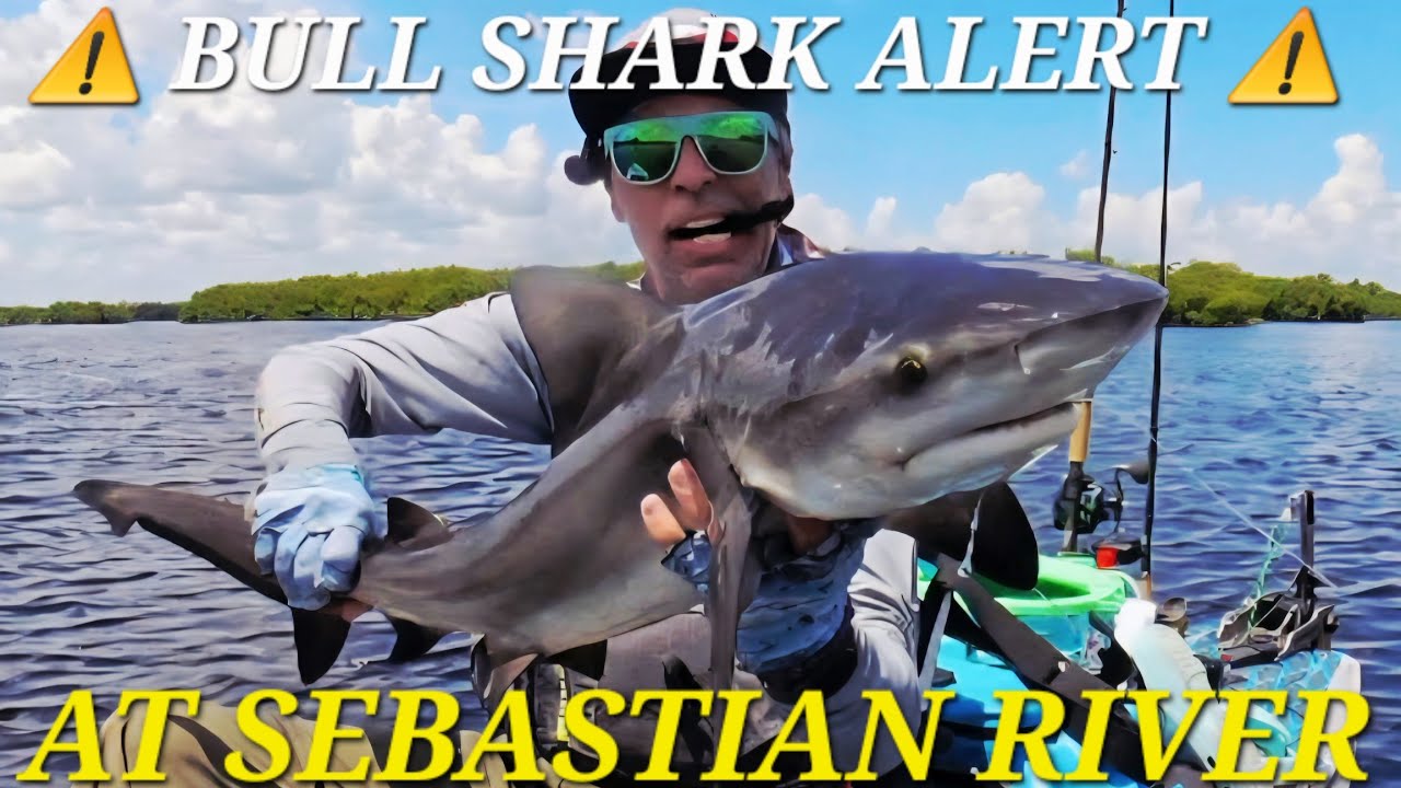 Bull Shark Alert At Sebastian River! ⚠️ Kayak Fishing With Live Mullet To Catch Big Tarpon!