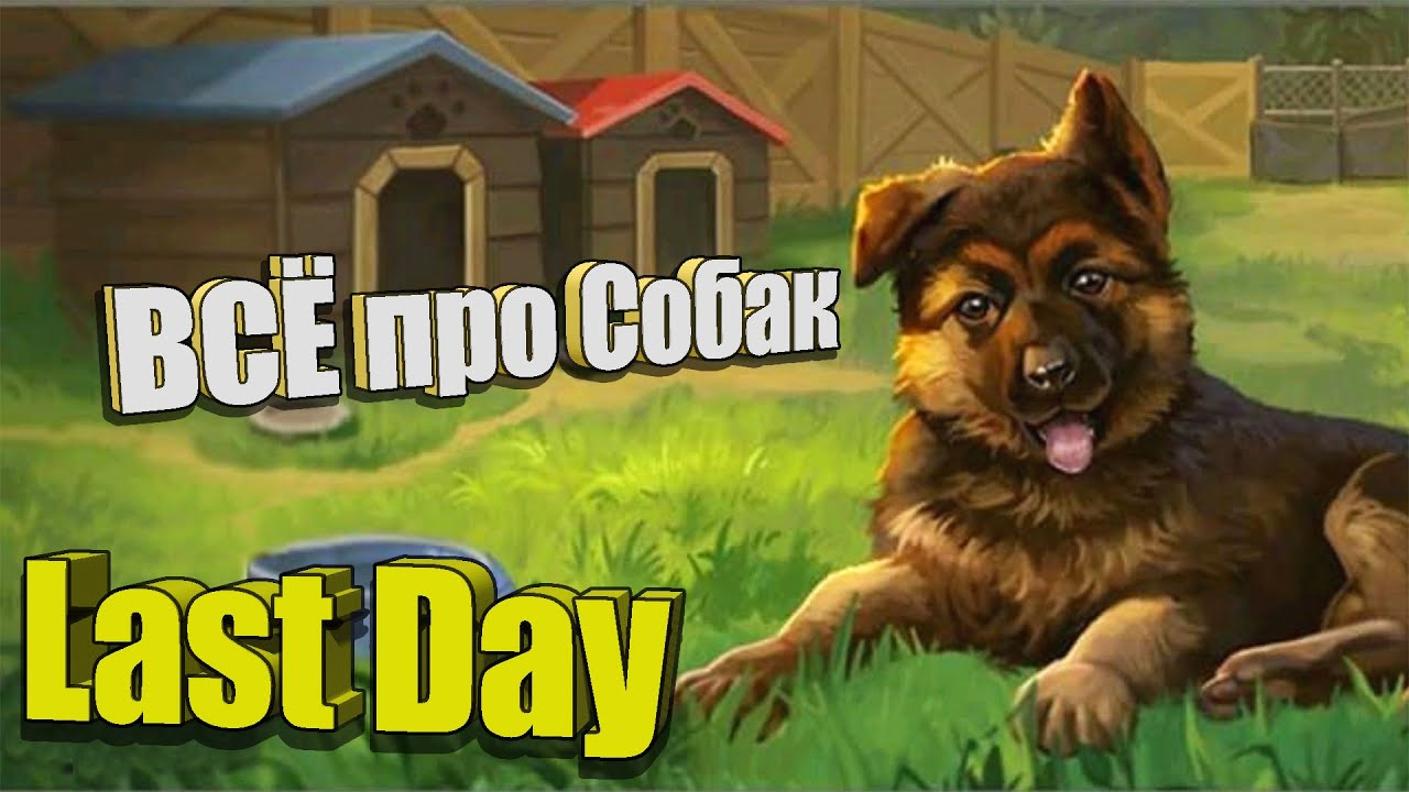 Всё про собак / Last Day