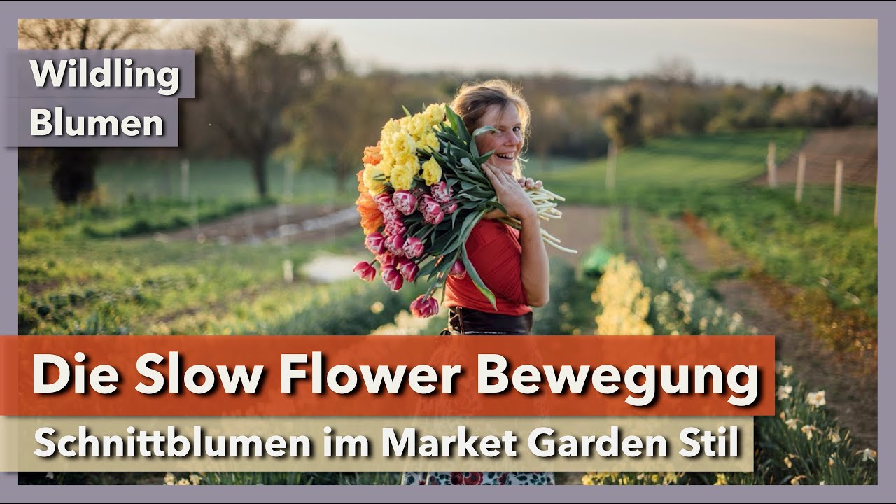 Slow Flowers - Schnittblumen im Market Garden Stil | Wildling Blumen | Mikrofarming Konferenz 2022