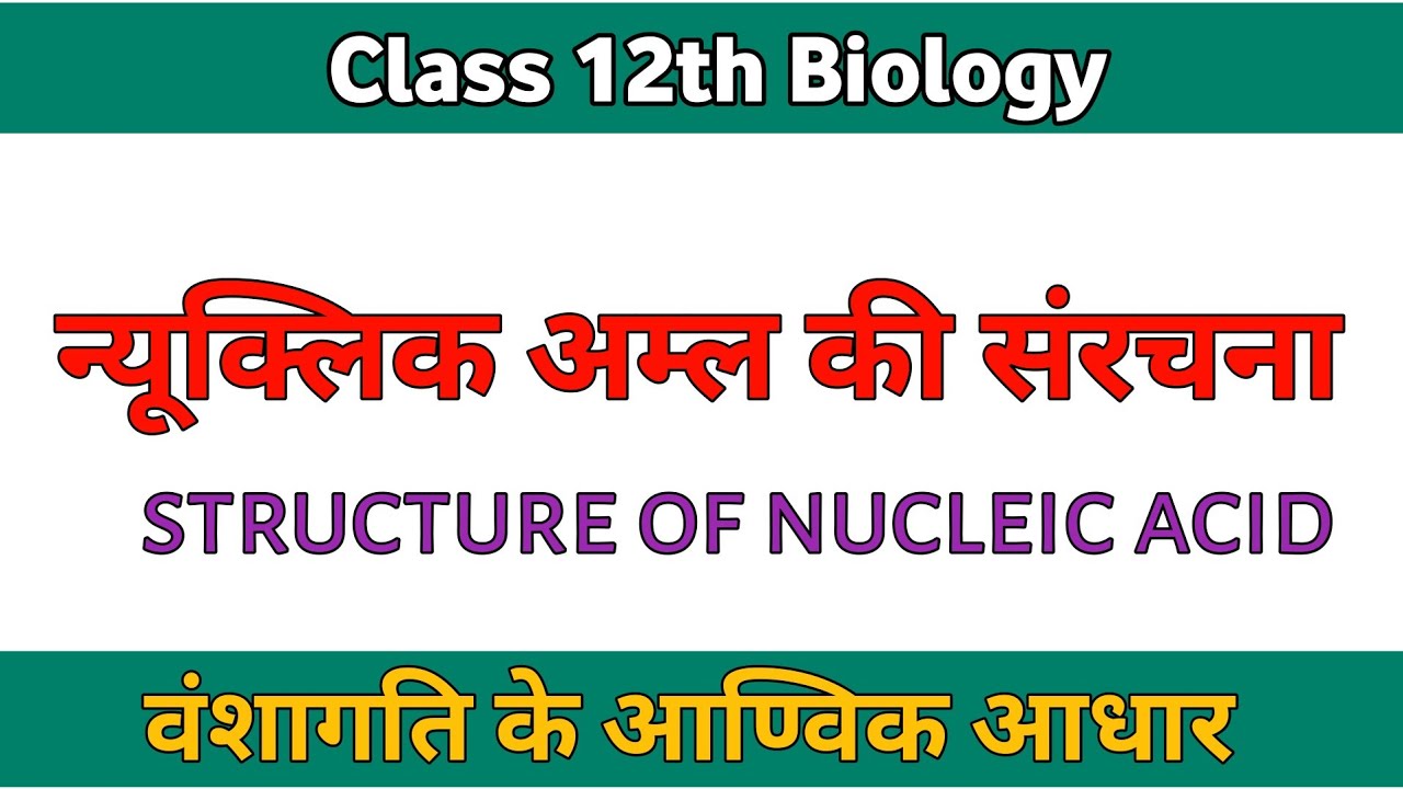 न्यूक्लिक अम्ल की संरचना class 12th biology structure of nucleic acid वंशागति के आण्विक आधार 